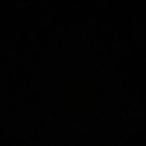 Meet your Posher, Justina